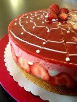 /album/galerie-de-photos-page-daccueil/fraisier1-jpg2/